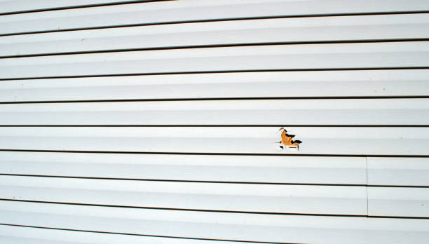 Best Steel Siding Installation  in Midway, FL
