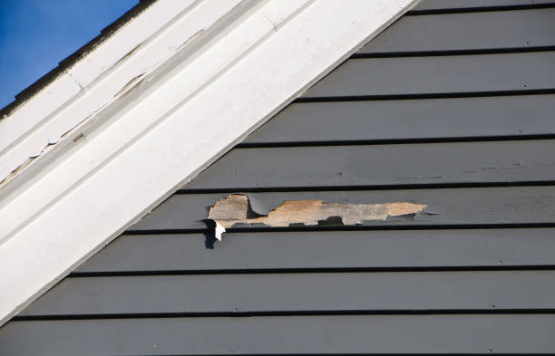 Best Engineered Wood Siding  in Midway, FL