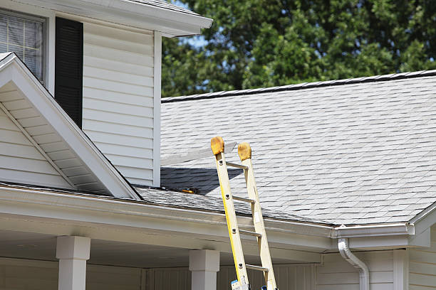Affordable siding repair and maintenance services in Midway, FL