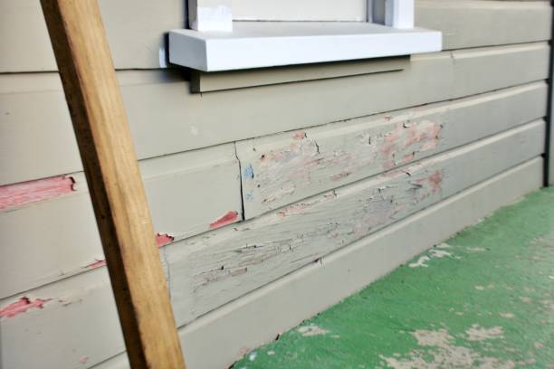Siding Installation
